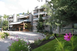 pet friendly hotel in whistler, hotel whistler dogs allowed