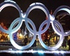 pet friendly hotels in whistler, dog friendly hotels in whistler